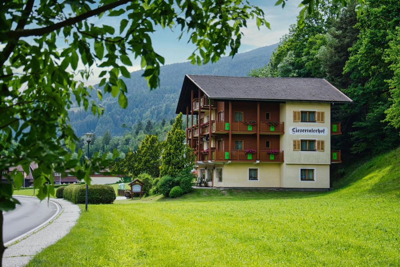 Pension Liesertalerhof Trebesing 외부 사진
